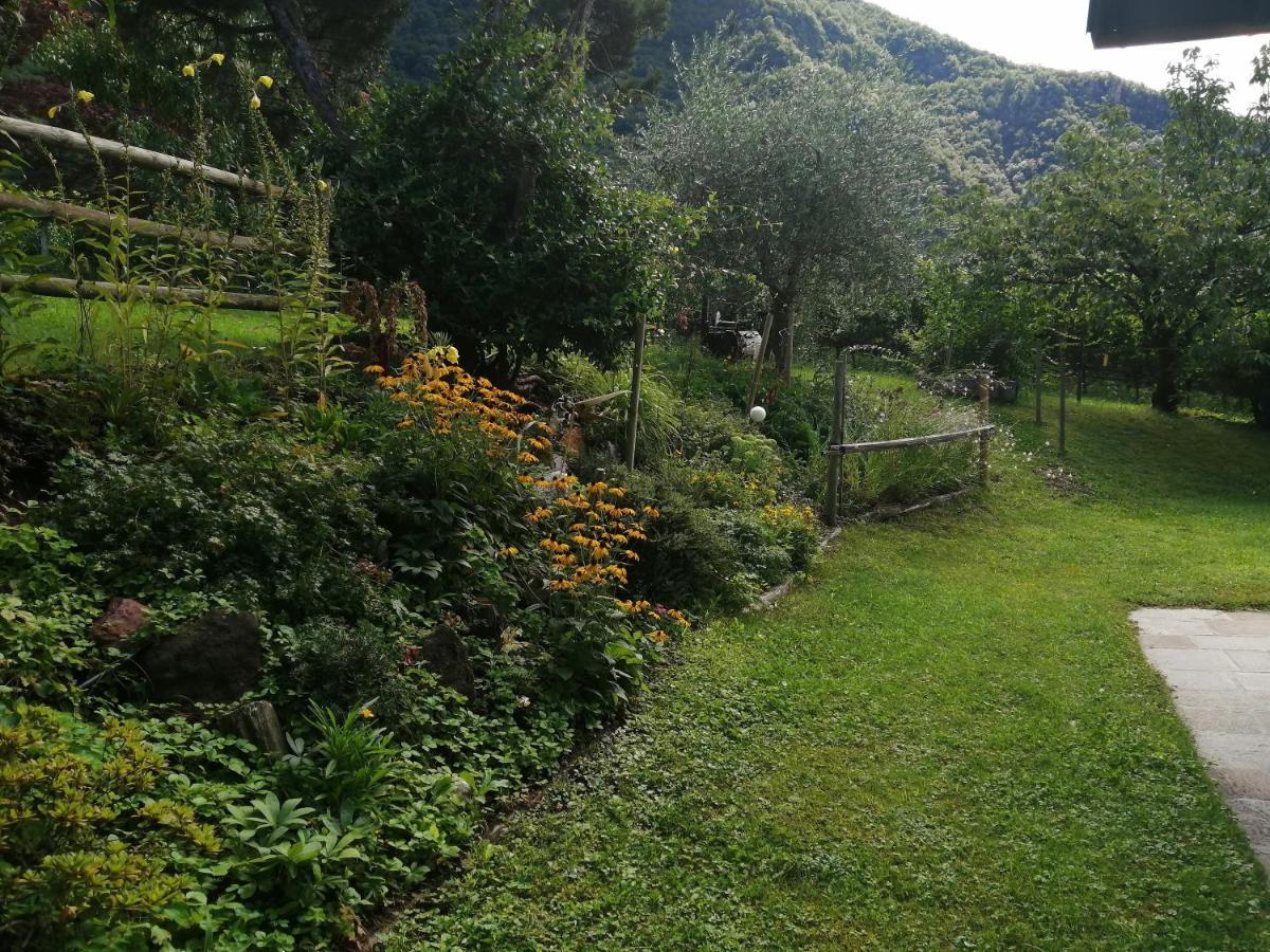 Villa Pinie Apt 1 Terlano Exterior photo